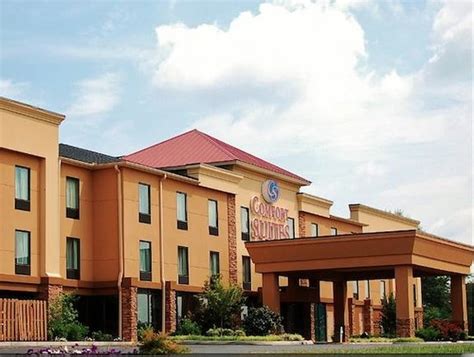 comfort suites knoxville.
